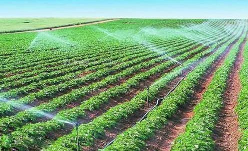 大鸡巴兽交系列农田高 效节水灌溉